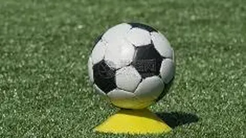 DB真人官方平台 产品 133126 fh5