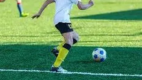 AI快报：2025年11月20日体育焦点盘点