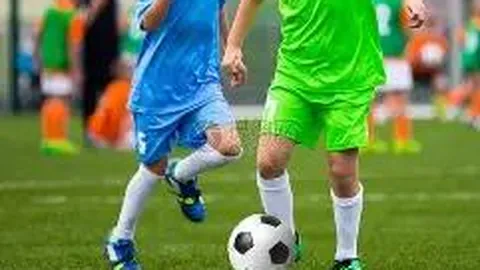 DB真人官方平台 资讯 131329 6n5