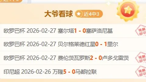 埃及联赛连胜奇迹！17胜12，辉煌战绩背后的数字之谜